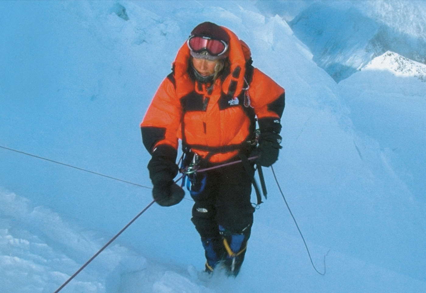 Vot pochemu brend The North Face tak populyaren 5