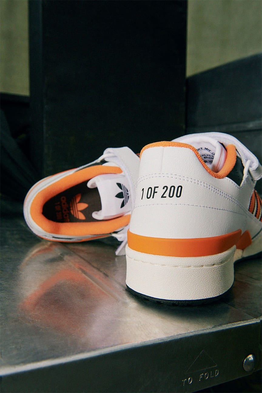 Eti super limitirovannye adidas Forum i ZX 8000 nastoyashhaya oda Berlinu 5