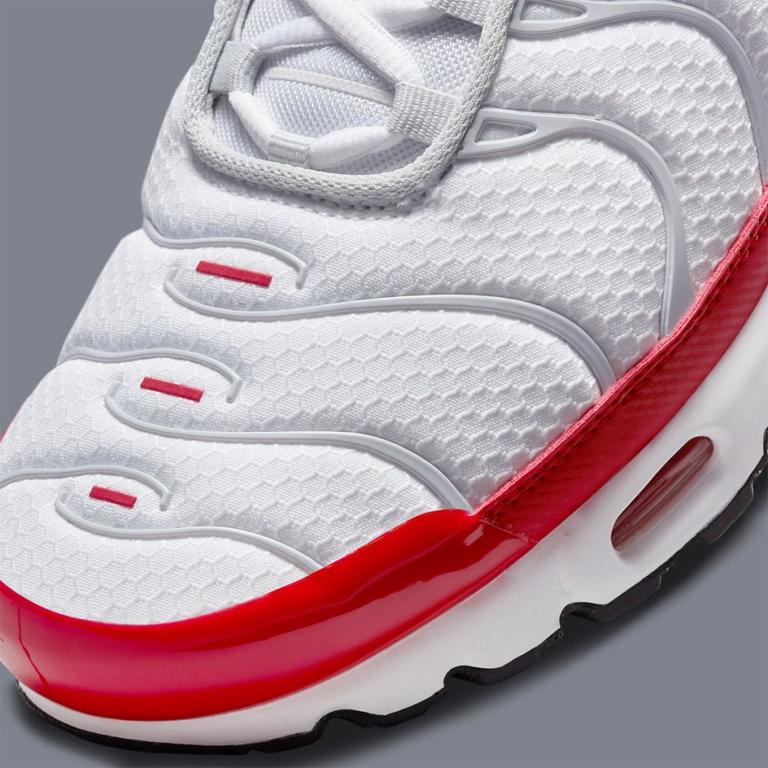 Nike Air Max Plus Air Max 1 vyjdut v marte 6