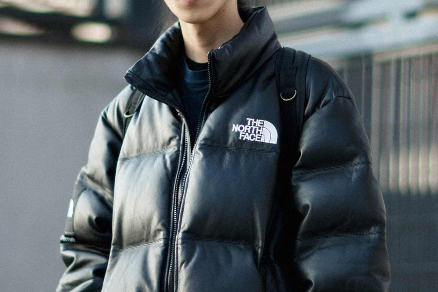 Vot pochemu brend The North Face tak populyaren