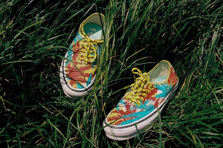 Meksikanskie hudozhniki primerili psihodelicheskuyu kollaboratsiyu Aries x Vault by Vans 16