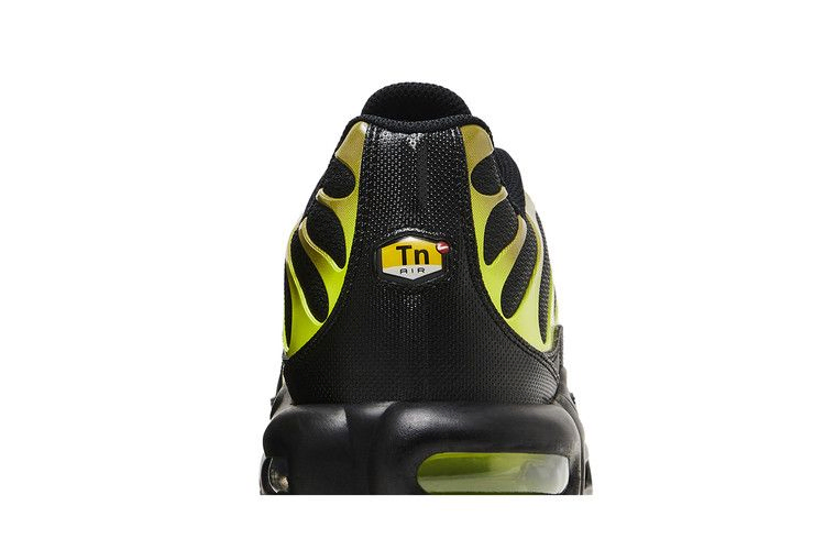 Кроссовки Nike Air Max Plus 'Pacific Moss'