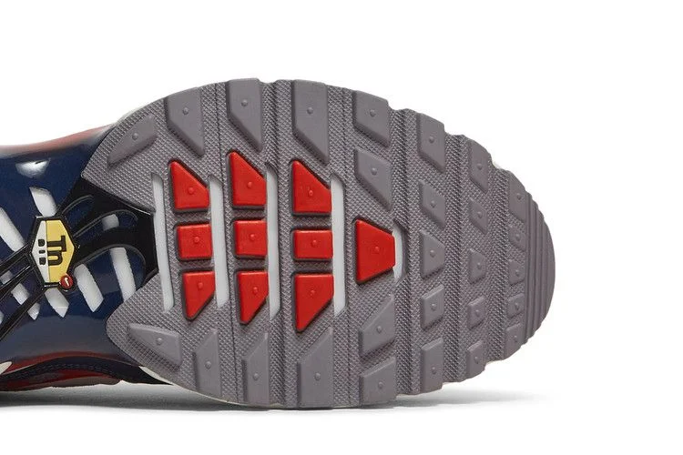 Кроссовки Nike Air Max Plus 'Grey USA'