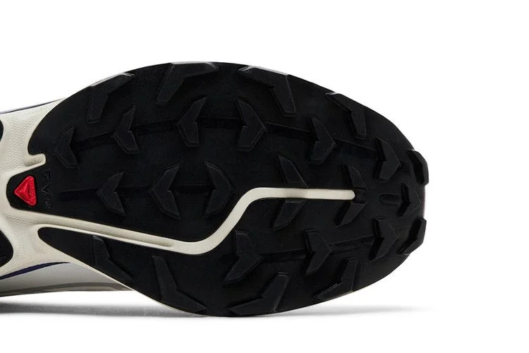 Krossovki-Salomon-XT-6-Lunar-Rock-Liberty-4