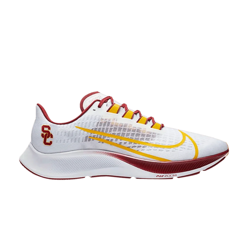 Krossovki-Nike-Air-Zoom-Pegasus-37-USC