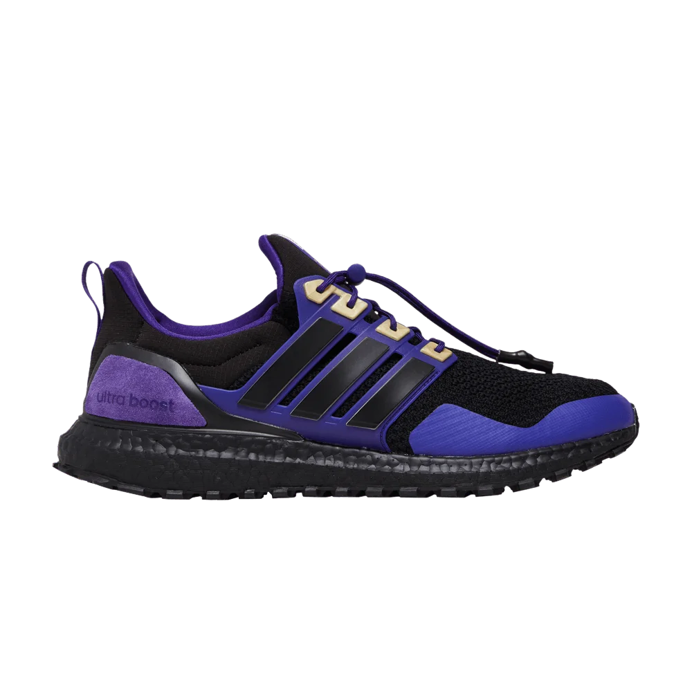 Krossovki-Adidas-UltraBoost-1.0-NCAA-Pack-Washington