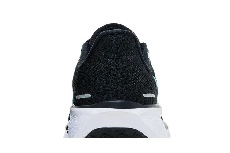 Кроссовки Nike Air Zoom Pegasus 41 'Black Dusty Cactus'
