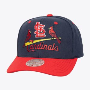 Mitchell-Ness-Navy-St.-Louis-Cardinals-All-In-2.0-Pro-Crown-Snapback-Hat-300x300
