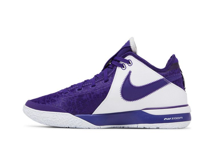 Кроссовки Nike Zoom LeBron NXXT Gen TB Promo 'Team Purple'