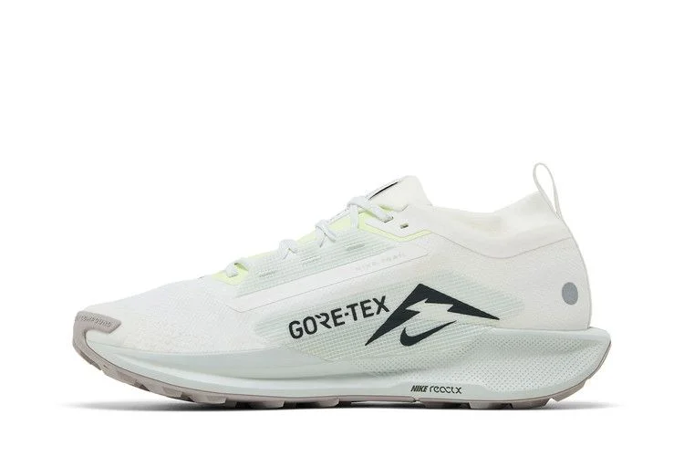 Krossovki-Nike-Pegasus-Trail-5-GORE-TEX-Light-Silver-Sequoia-2