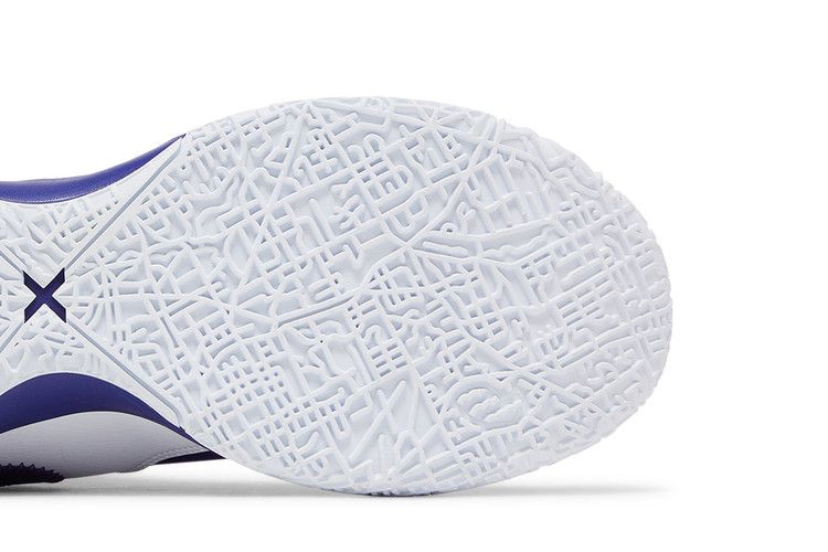 Кроссовки Nike Zoom LeBron NXXT Gen TB Promo 'Team Purple'
