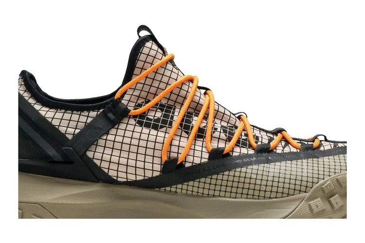 Кроссовки Nike ACG Mountain Fly Low 'Fossil Stone'