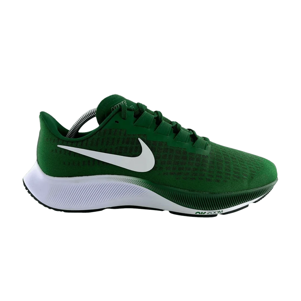 Krossovki-Nike-Wmns-Air-Zoom-Pegasus-37-TB-Gorge-Green