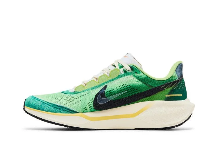 Кроссовки Nike Air Zoom Pegasus 41 'International Running Pack'