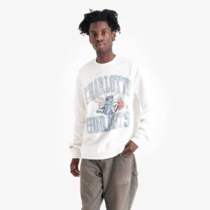 Mitchell-Ness-Charlotte-Hornets-Vintage-Ivy-Arch-NBA-Crew-Neck-Jumper-1-300x300