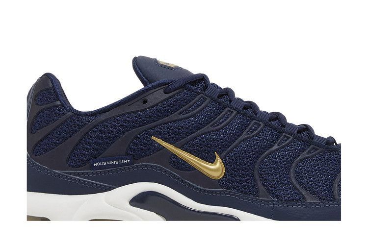 Кроссовки Nike Air Max Plus 'French Football Federation'