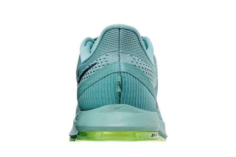 Кроссовки Nike Pegasus Premium 'Cannon'