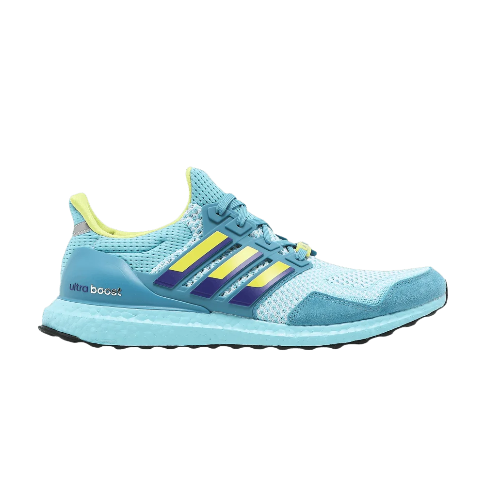 Krossovki-adidas-UltraBoost-1.0-DNA-ZX-8000