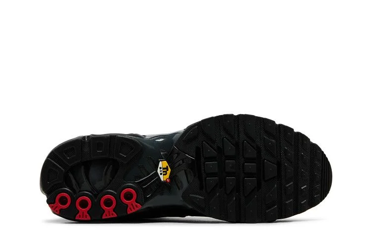 Кроссовки Nike Air Max Plus 'Black Gradient Red'