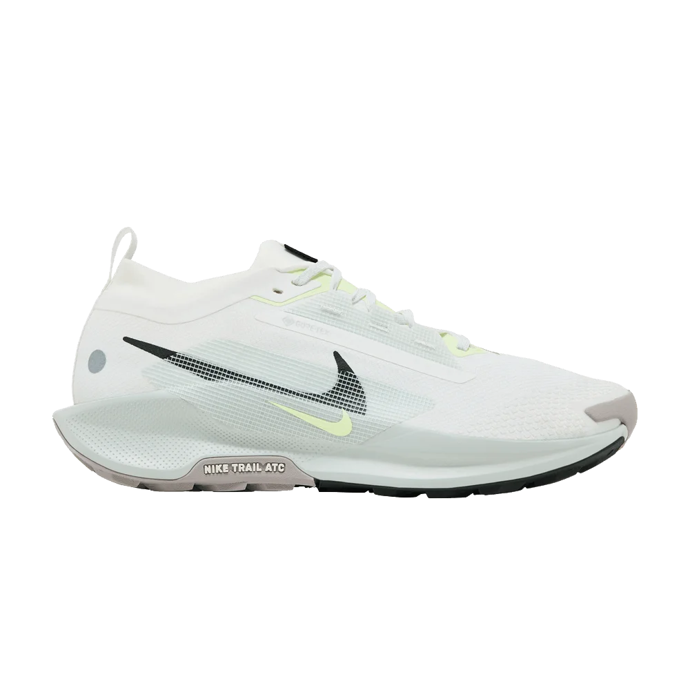 Krossovki-Nike-Pegasus-Trail-5-GORE-TEX-Light-Silver-Sequoia