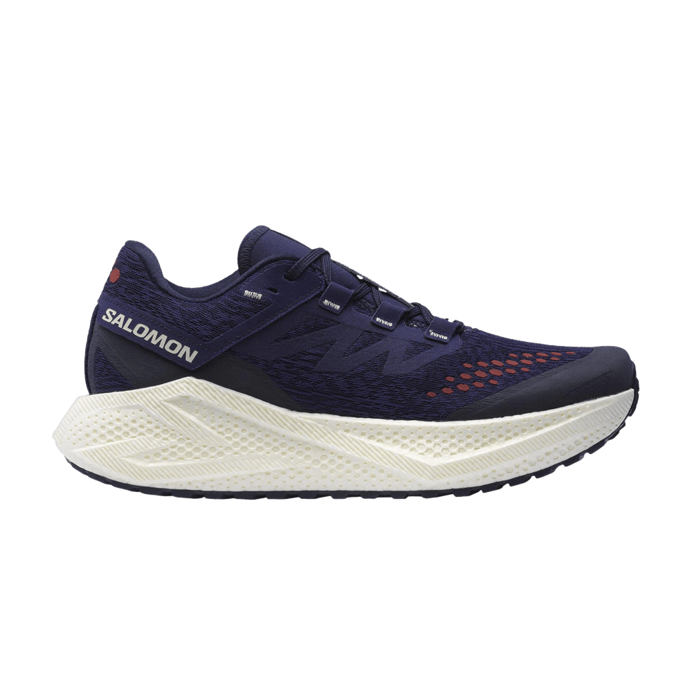 Кроссовки Salomon Aero Glide 3 GRVL 'Astral Aura'