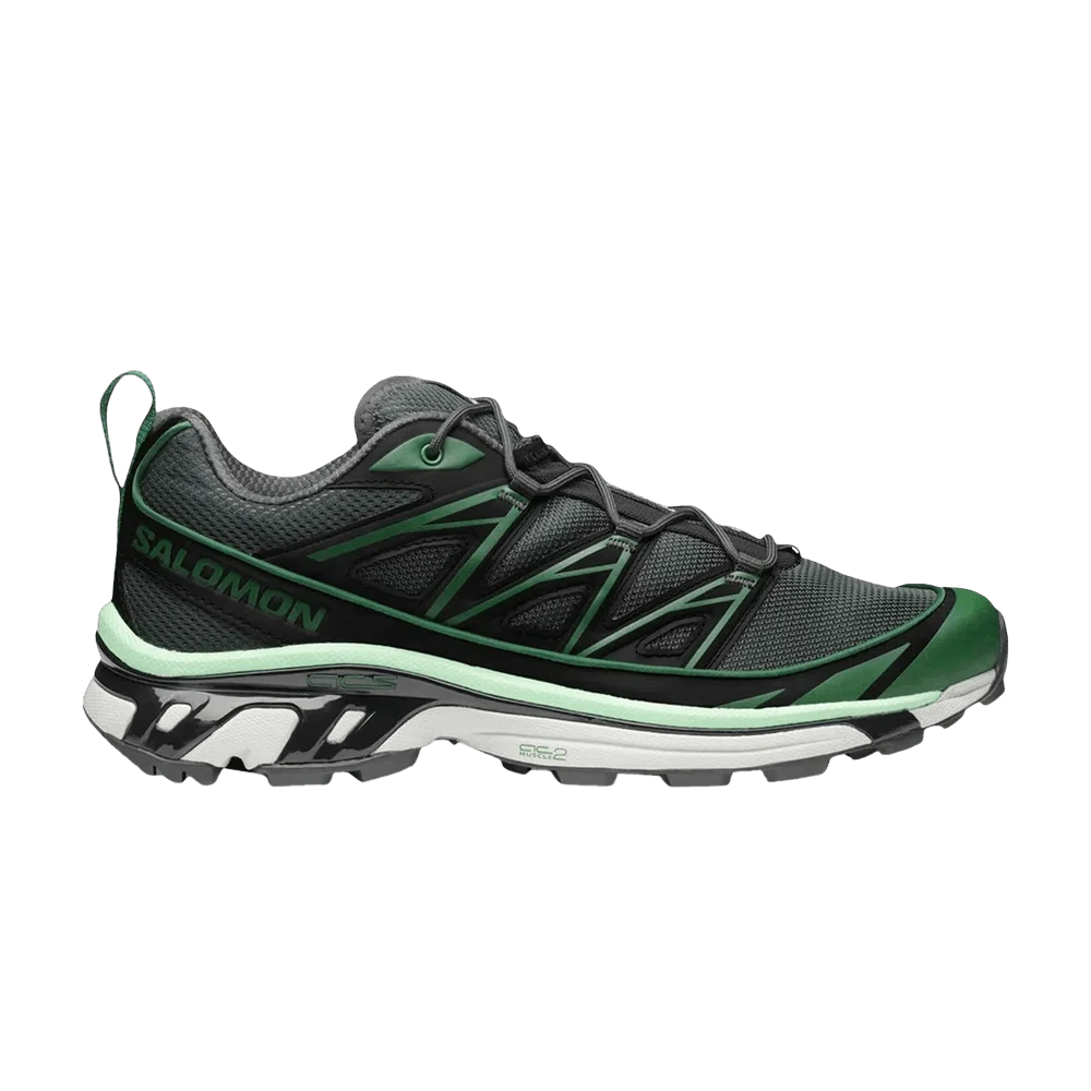 Кроссовки Salomon XT-6 Expanse 'Eden Black Metal'