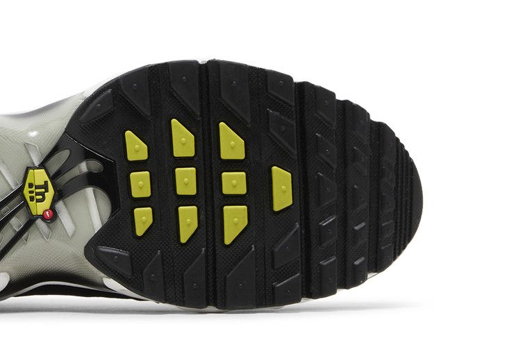 Кроссовки Nike Air Max Plus GS 'Black Bright Cactus'