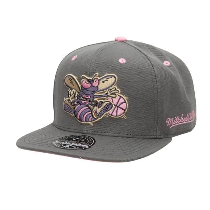 Бейсболка Mitchell & Ness Lavender Dreams Fitted HWC Charlotte Hornets Hat