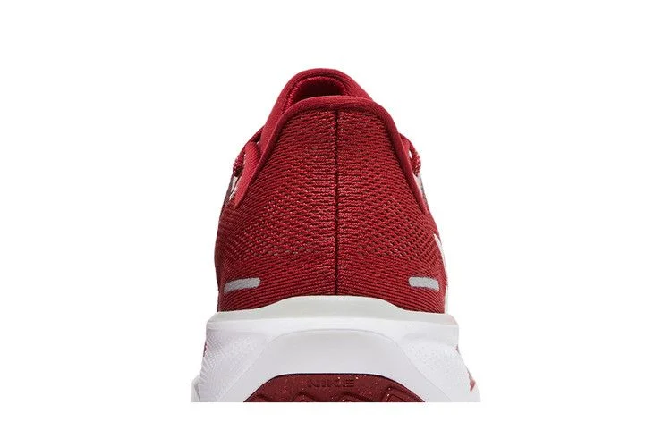 Кроссовки Nike Air Zoom Pegasus 41 'Alabama 2024'