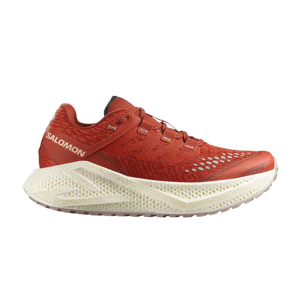 Кроссовки Salomon Wmns Aero Glide 3 GRVL 'Burnt Ochre'