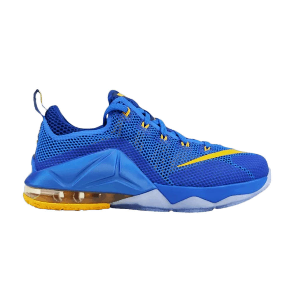 Krossovki-Nike-LeBron-12-Low-GS-Entourage