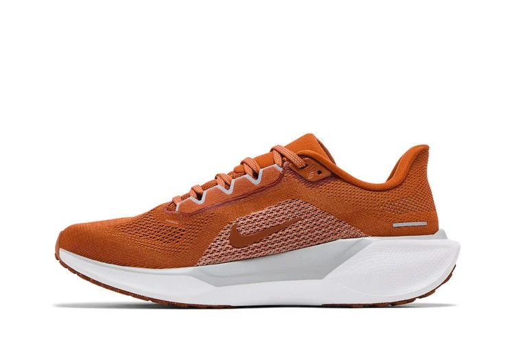 Кроссовки Nike Air Zoom Pegasus 41 'Texas 2024'