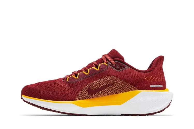 Кроссовки NFL x Nike Air Zoom Pegasus 41 'Washington Commanders'