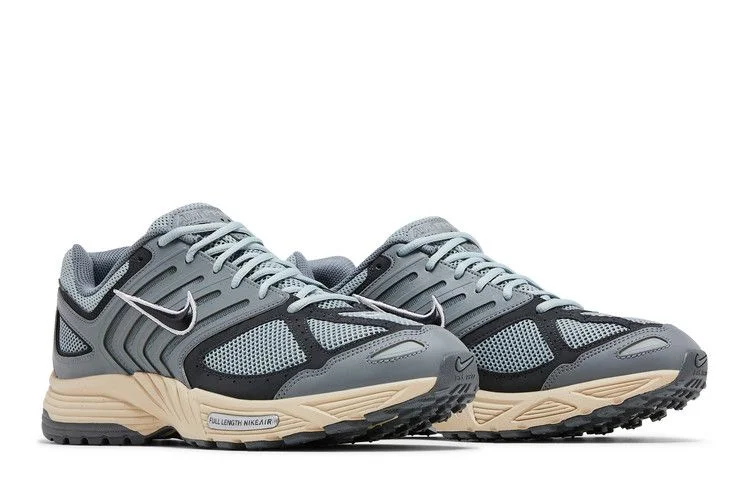 Krossovki-Nike-Air-Pegasus-2K5-Light-Pumice-7