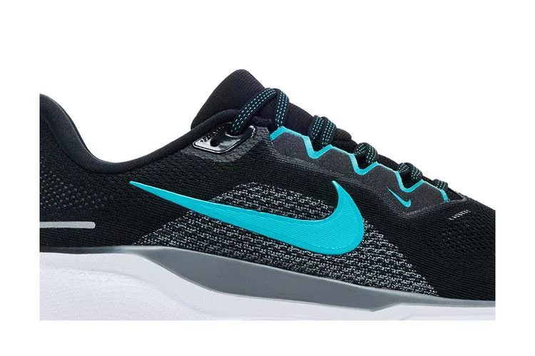 Кроссовки Nike Air Zoom Pegasus 41 'Black Dusty Cactus'