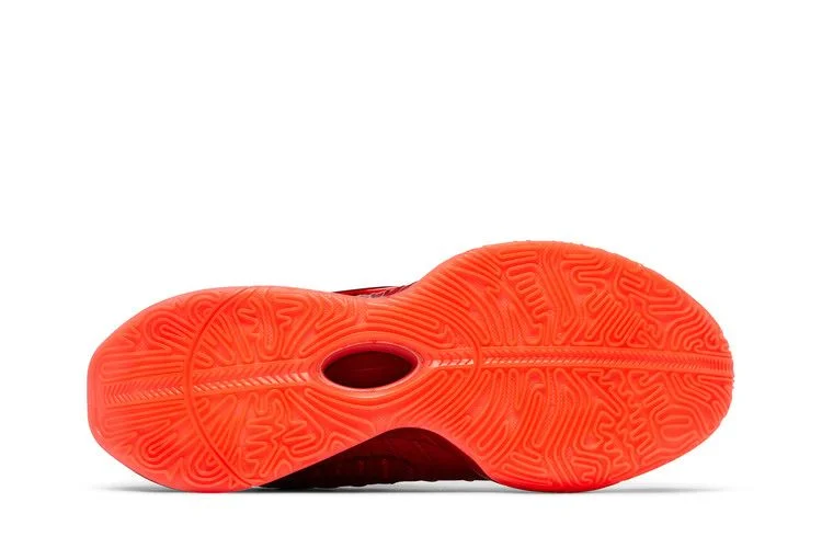 Кроссовки Nike LeBron 21 'James Gang'
