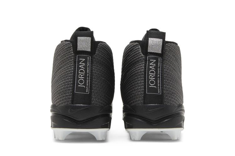 Кроссовки Air Jordan 12 Retro MCS