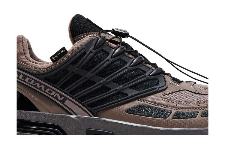 Кроссовки Salomon ACS Pro GORE-TEX 'Iron Plum Kitten'