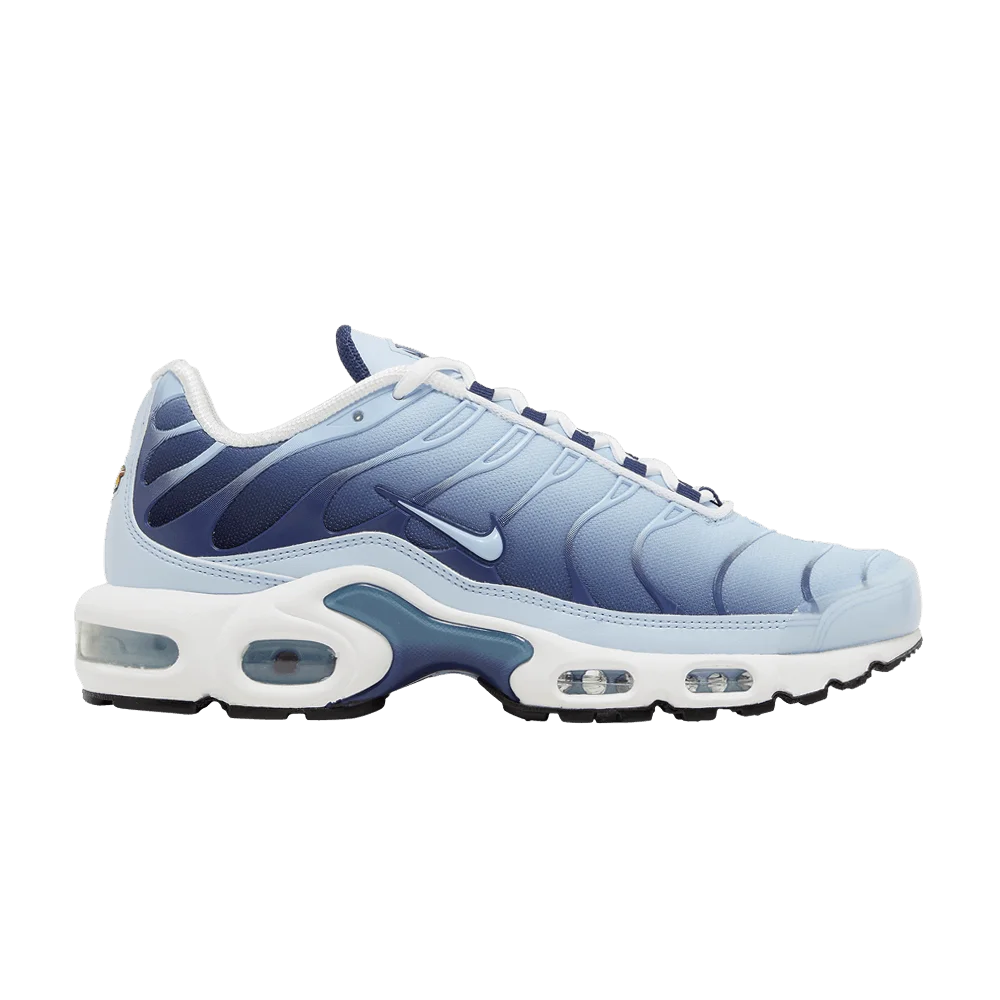 Krossovki-Nike-Wmns-Air-Max-Plus-Celestine-Blue