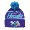 Mitchell-Ness-Script-Pom-HWC-Charlotte-Hornets-Beanie-100x100