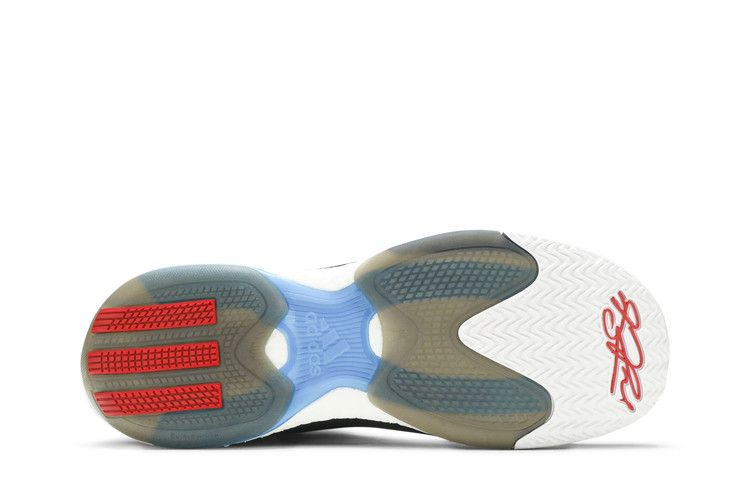 Кроссовки Adidas D Rose 5 Boost 'Brenda'