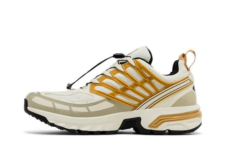 Кроссовки Salomon ACS Pro GORE-TEX 'Icicle Antelope'