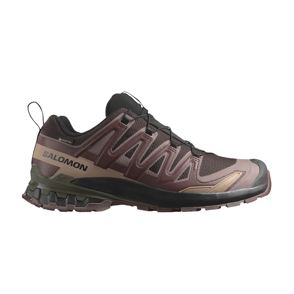 Кроссовки Salomon XA Pro 3D V9 GORE-TEX 'Rum Raisin'