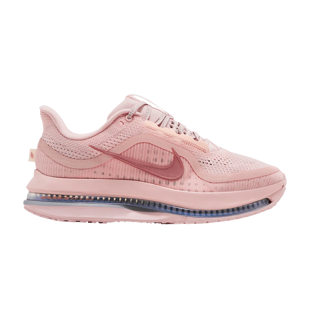 Krossovki-Nike-Wmns-Pegasus-Premium-Atmosphere
