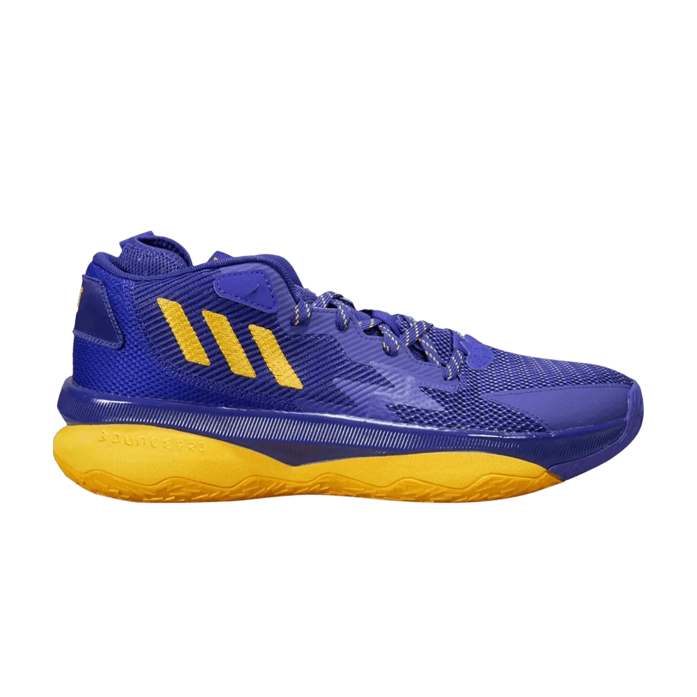 Krossovki-Adidas-Dame-8-Washington-Huskies-Commemorative-Classic-PE