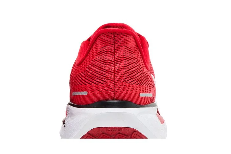 Кроссовки Nike Air Zoom Pegasus 41 'Georgia 2024'