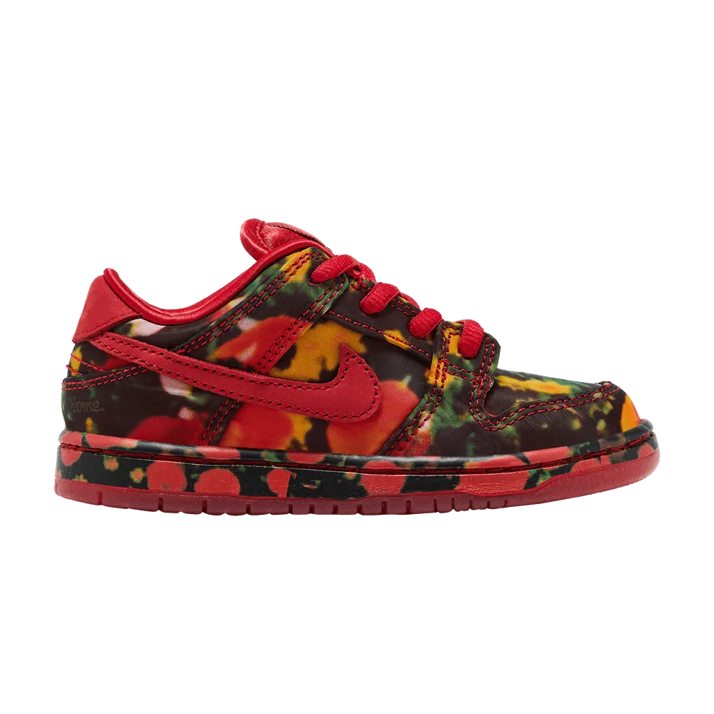 Кроссовки The Wizard of Oz x Nike Dunk Low SB TD 'Poppy Field'