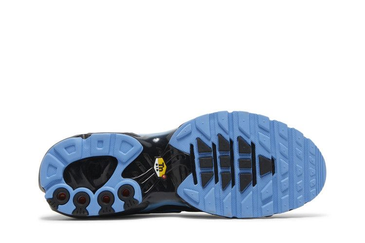 Кроссовки Nike Air Max Plus 'Black University Blue'