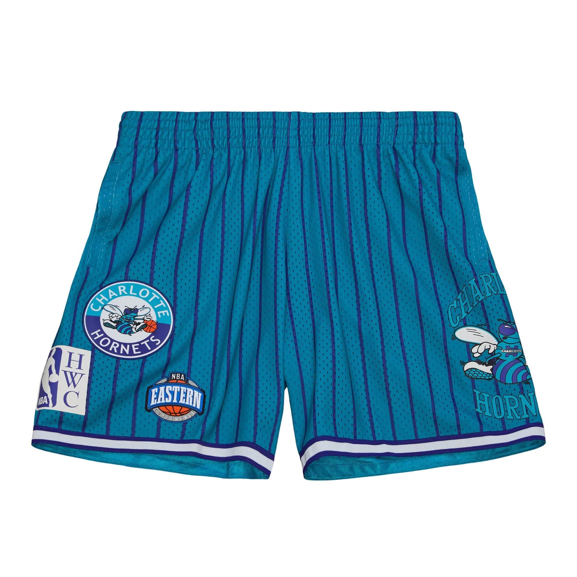 Спортивные шорты Mitchell & Ness City Collection Mesh Charlotte Hornets Shorts