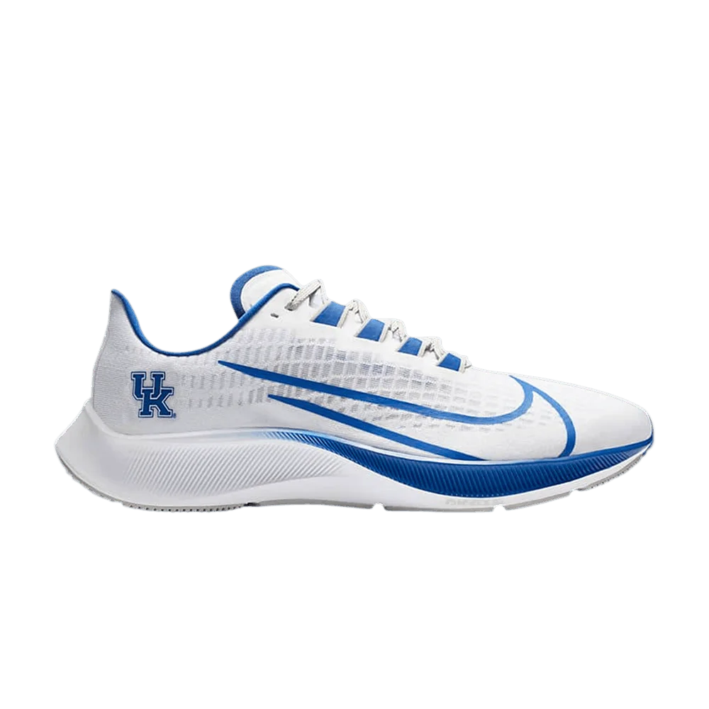 Krossovki-Nike-Air-Zoom-Pegasus-37-Kentucky